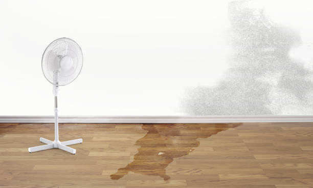 Best Water damage restoration services  in West Hills, NY